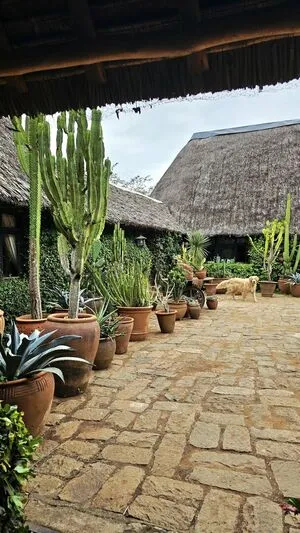 Danahamm OnlyFans Leaked Free Thumbnail Picture - #v6GuzbrDc8