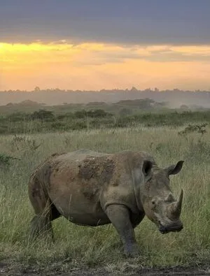 Danahamm OnlyFans Leaked Free Thumbnail Picture - #wuB6p68svS