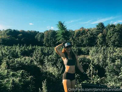 Danceincannabis OnlyFans Leaked Free Thumbnail Picture - #Fe7KDwfMlx