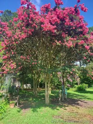 Dani OnlyFans Leaked Free Thumbnail Picture - #SE3Ni5uD7R