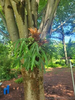 Dani OnlyFans Leaked Free Thumbnail Picture - #TmWfIrDklY