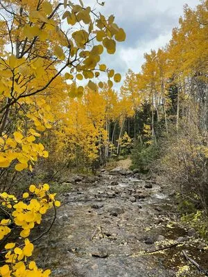 Dannisgreencorner OnlyFans Leaked Free Thumbnail Picture - #MTq4S0kEtq