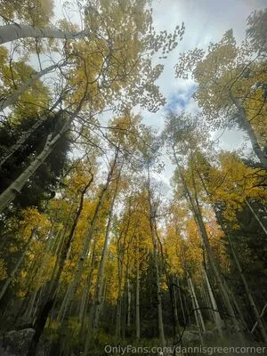 Dannisgreencorner OnlyFans Leaked Free Thumbnail Picture - #sJjkow6rvh
