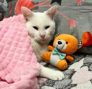 Daria OnlyFans Leaked Free Thumbnail Picture - #8b690n8Oao