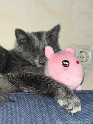 Daria OnlyFans Leaked Free Thumbnail Picture - #9wEb7LXKs0