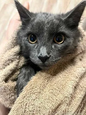 Daria OnlyFans Leaked Free Thumbnail Picture - #mBGbBaFTSS