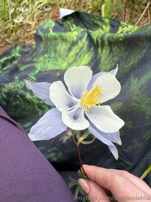 Darkfaedahlia OnlyFans Leaked Free Thumbnail Picture - #6VykvGf8Ir