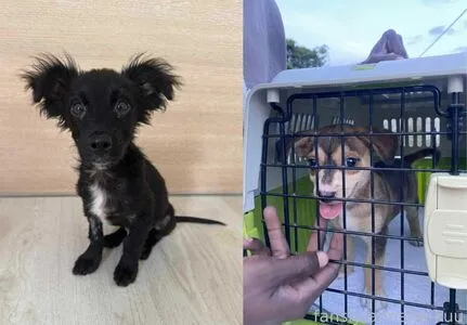 Darkitachi OnlyFans Leaked Free Thumbnail Picture - #IJ09w68iH8