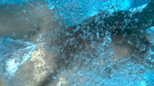 Dasha Nekrasova OnlyFans Leaked Free Thumbnail Picture - #HGKegNNoQO