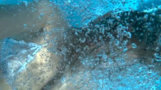 Dasha Nekrasova OnlyFans Leaked Free Thumbnail Picture - #gAk6a52OSw