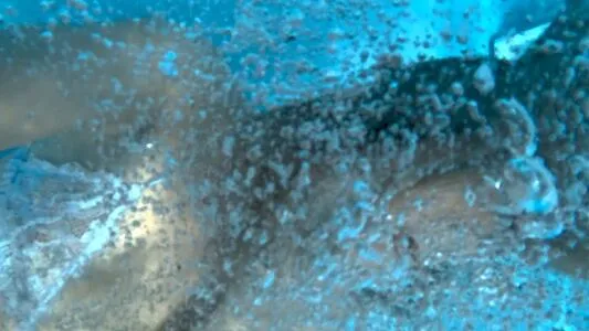 Dasha Nekrasova OnlyFans Leaked Free Thumbnail Picture - #qjOYQiJT3D