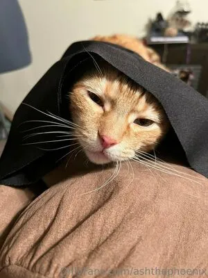 Datbadashe OnlyFans Leaked Free Thumbnail Picture - #eWCfFcz6tu