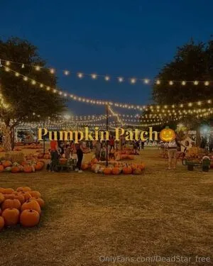 Dead Star OnlyFans Leaked Free Thumbnail Picture - #fO8jCvewtD