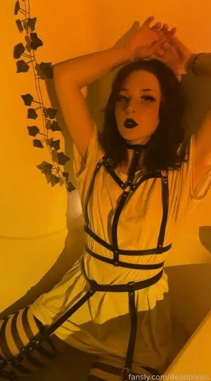 Deadpixies OnlyFans Leaked Free Thumbnail Picture - #gAX64BxnRo