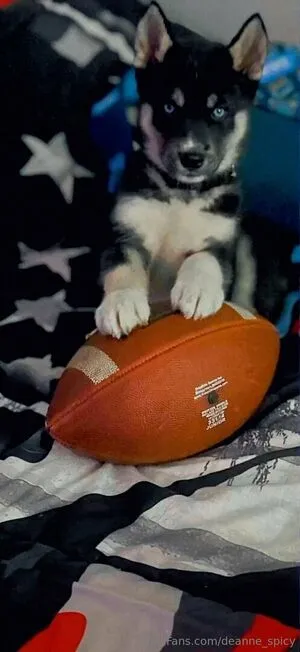 Deanne Spicy OnlyFans Leaked Free Thumbnail Picture - #dmQ1E0rpXO