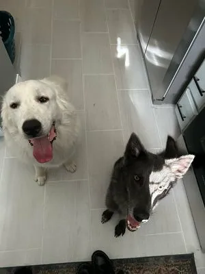 Dearest Daisy OnlyFans Leaked Free Thumbnail Picture - #PAgigWkMRH