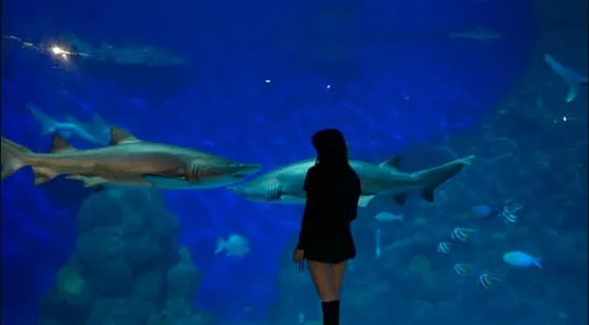 Dearest Daisy OnlyFans Leaked Free Thumbnail Picture - #pGRIaqldYy