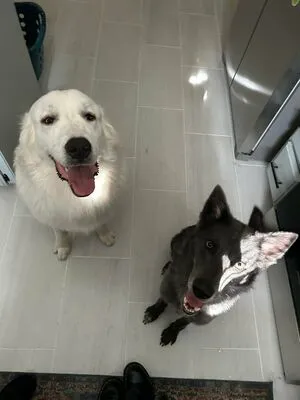 Dearest Daisy OnlyFans Leaked Free Thumbnail Picture - #sNE2cW1Nml