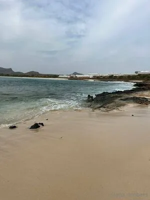 Diana Xx OnlyFans Leaked Free Thumbnail Picture - #dyWf5PUgO9