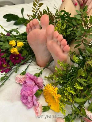 Dianacane1 OnlyFans Leaked Free Thumbnail Picture - #c4ZKHSsY2N