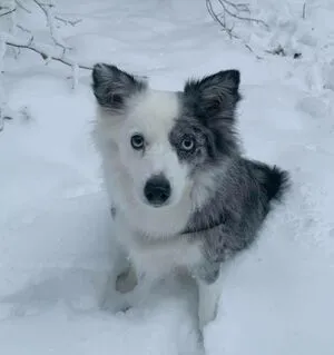 Dilaraa OnlyFans Leaked Free Thumbnail Picture - #LaueD7OWht