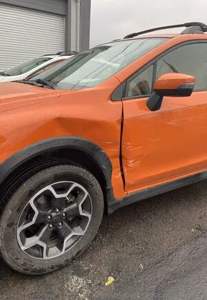 Dinobuggasaurus OnlyFans Leaked Free Thumbnail Picture - #UFPEDxj5WM