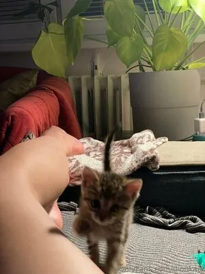 Dionkadi OnlyFans Leaked Free Thumbnail Picture - #STdKkqd6Ou