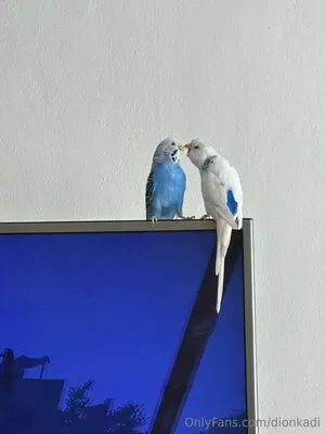 Dionkadi OnlyFans Leaked Free Thumbnail Picture - #dZtkcWbFOG