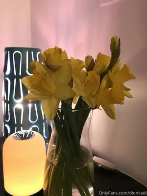 Dionkadi OnlyFans Leaked Free Thumbnail Picture - #jWQ6InhpkJ