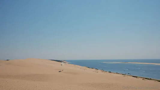 Dionkadi OnlyFans Leaked Free Thumbnail Picture - #pGOW500tLo