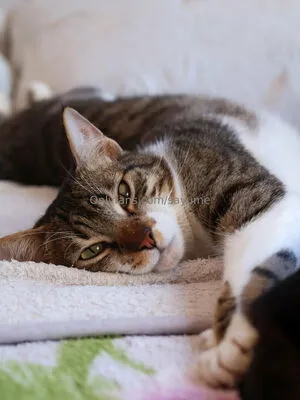 Dirtylil Secret OnlyFans Leaked Free Thumbnail Picture - #UvqCrRT6Jf