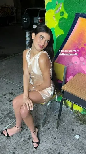 Dixie D Amelio OnlyFans Leaked Free Thumbnail Picture - #vgvgkWmgqI