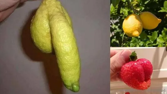 Docholliwood OnlyFans Leaked Free Thumbnail Picture - #L78OSAPT8Z