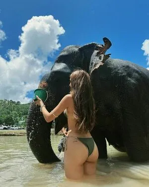 Domelipa OnlyFans Leaked Free Thumbnail Picture - #kLo33KvWfK