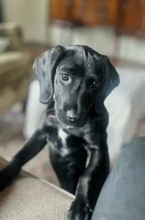 Donnawildcard OnlyFans Leaked Free Thumbnail Picture - #QRwbI8OqVF