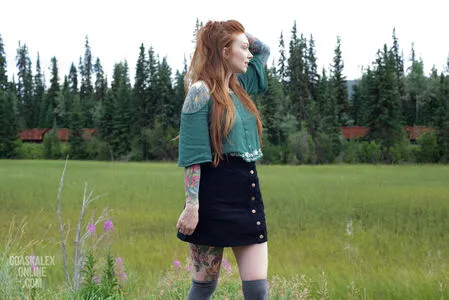 Dontaskalex OnlyFans Leaked Free Thumbnail Picture - #x8NUJ2V7yo