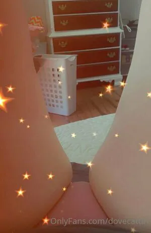 Dovecattiri OnlyFans Leaked Free Thumbnail Picture - #UUyRziQwx5