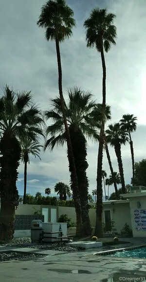 Dreamer31 OnlyFans Leaked Free Thumbnail Picture - #KXHk8ndvM8