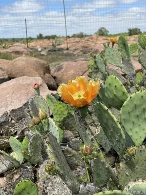 Dreamer31 OnlyFans Leaked Free Thumbnail Picture - #mtT1WrDczo