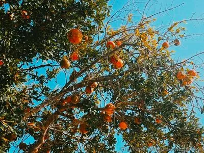 Dreamingattina OnlyFans Leaked Free Thumbnail Picture - #8o2CdZqPXP