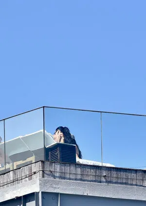 Dua Lipa OnlyFans Leaked Free Thumbnail Picture - #jOuBJtYcpa