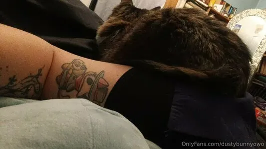 Dustybunnyowo OnlyFans Leaked Free Thumbnail Picture - #siWkJi0tbl