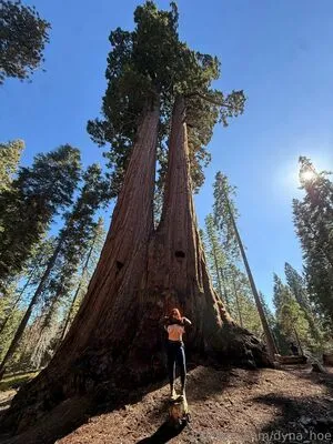 Dyna Hoe OnlyFans Leaked Free Thumbnail Picture - #XHMDSyPmAO