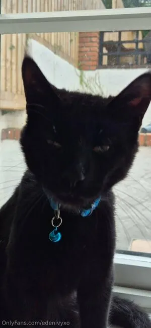 Edenivyxo OnlyFans Leaked Free Thumbnail Picture - #Q4VT8uelu0