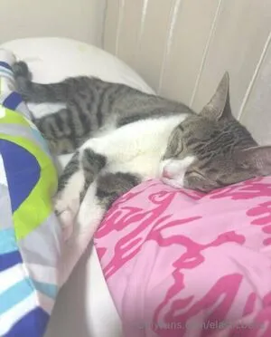 Elasticbella OnlyFans Leaked Free Thumbnail Picture - #SvpctIHija