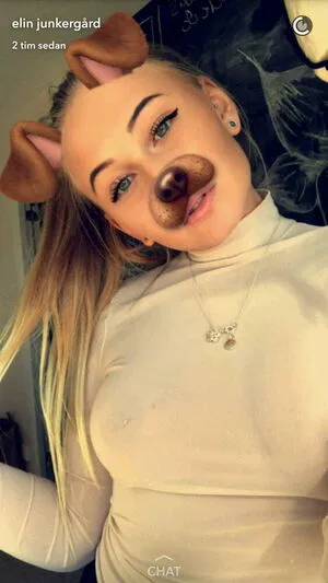 Elin Junkergard OnlyFans Leaked Free Thumbnail Picture - #MYOZTzfUyQ