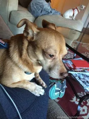 Elle The Belle OnlyFans Leaked Free Thumbnail Picture - #EEfq8XnjRe