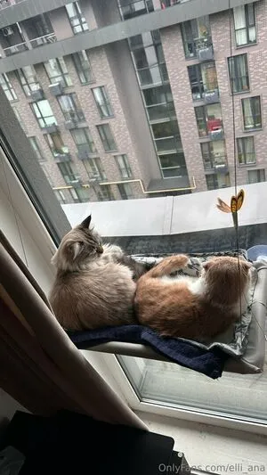 Elli Ana OnlyFans Leaked Free Thumbnail Picture - #gqhbbmANhm