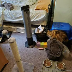 Ellie Teases OnlyFans Leaked Free Thumbnail Picture - #9ZLGApPteP