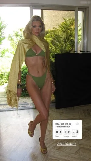 Elsa Hosk OnlyFans Leaked Free Thumbnail Picture - #EqDkWKjT5X